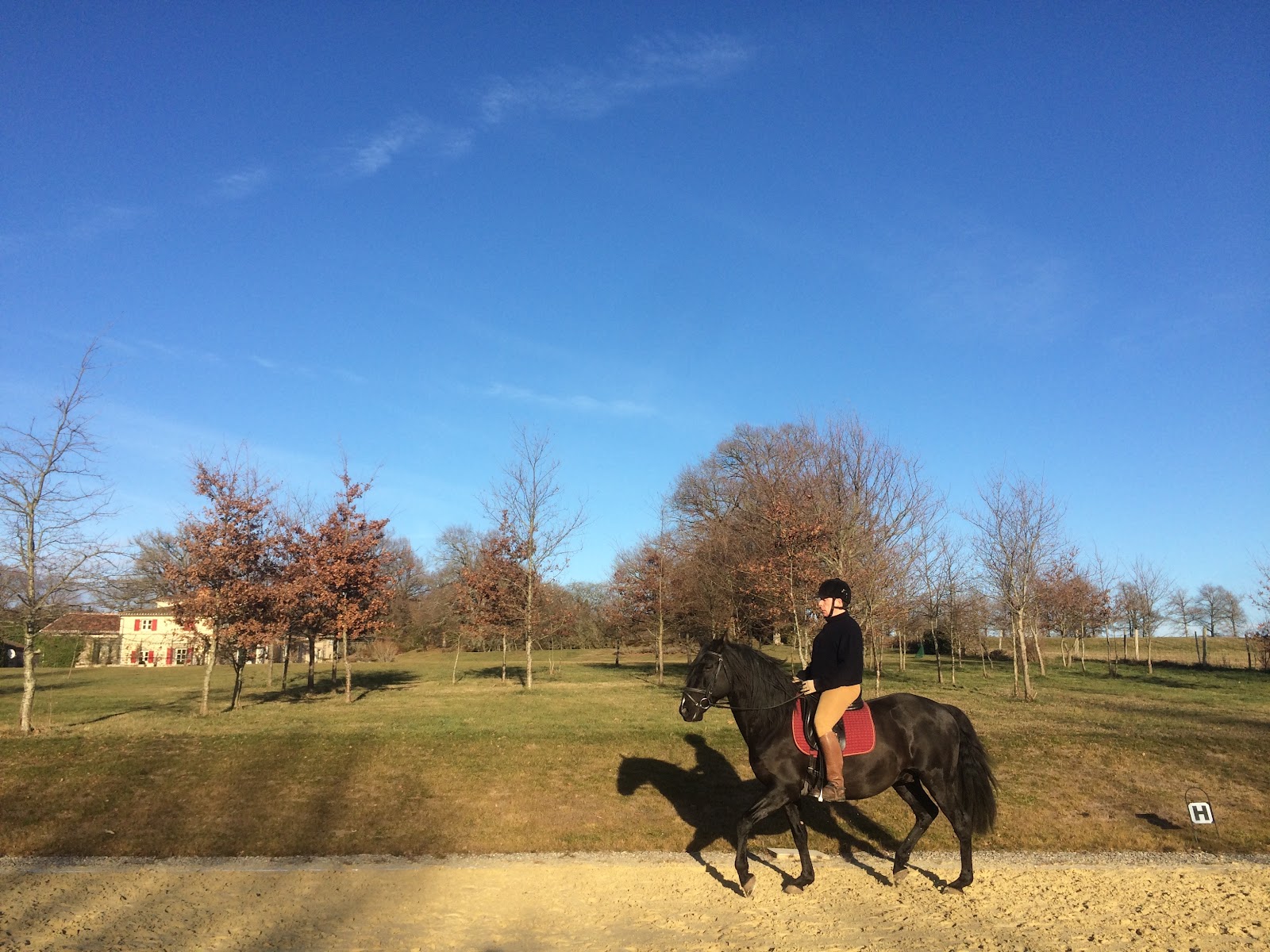 Photo de LUSITANIENS DE TRALBAUD