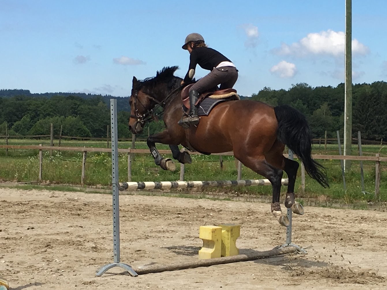 Photo de MANEGE DES MILLE ETANGS