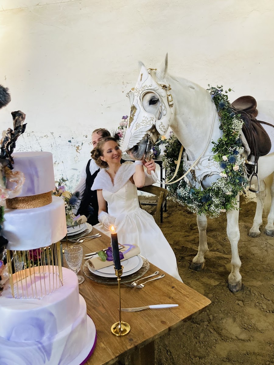 Photo de MJ HORSES EVENTS