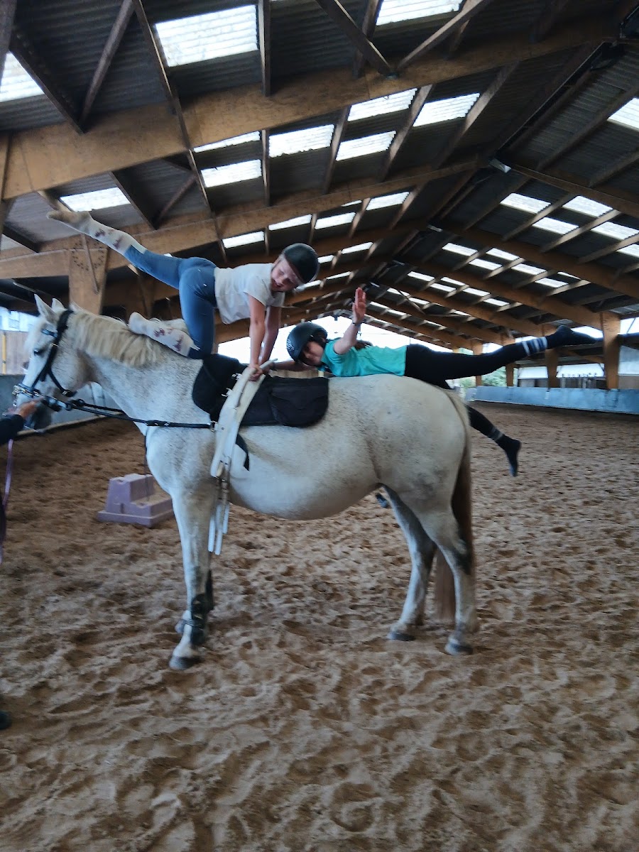 Photo de MONTGARDON EQUITATION