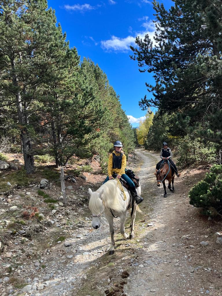 NEVADA MOUNTAIN PADDOCK
