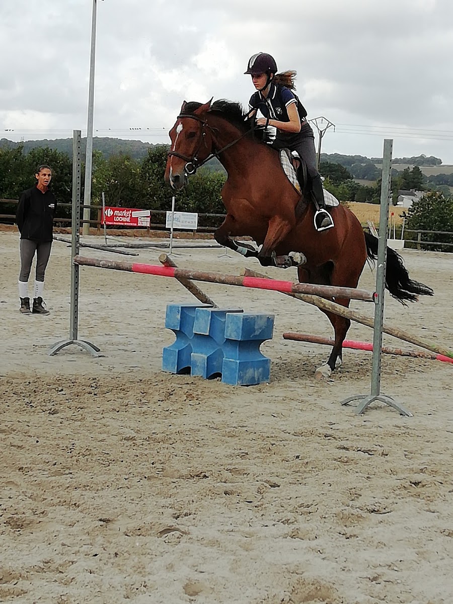 OSEC Équitation