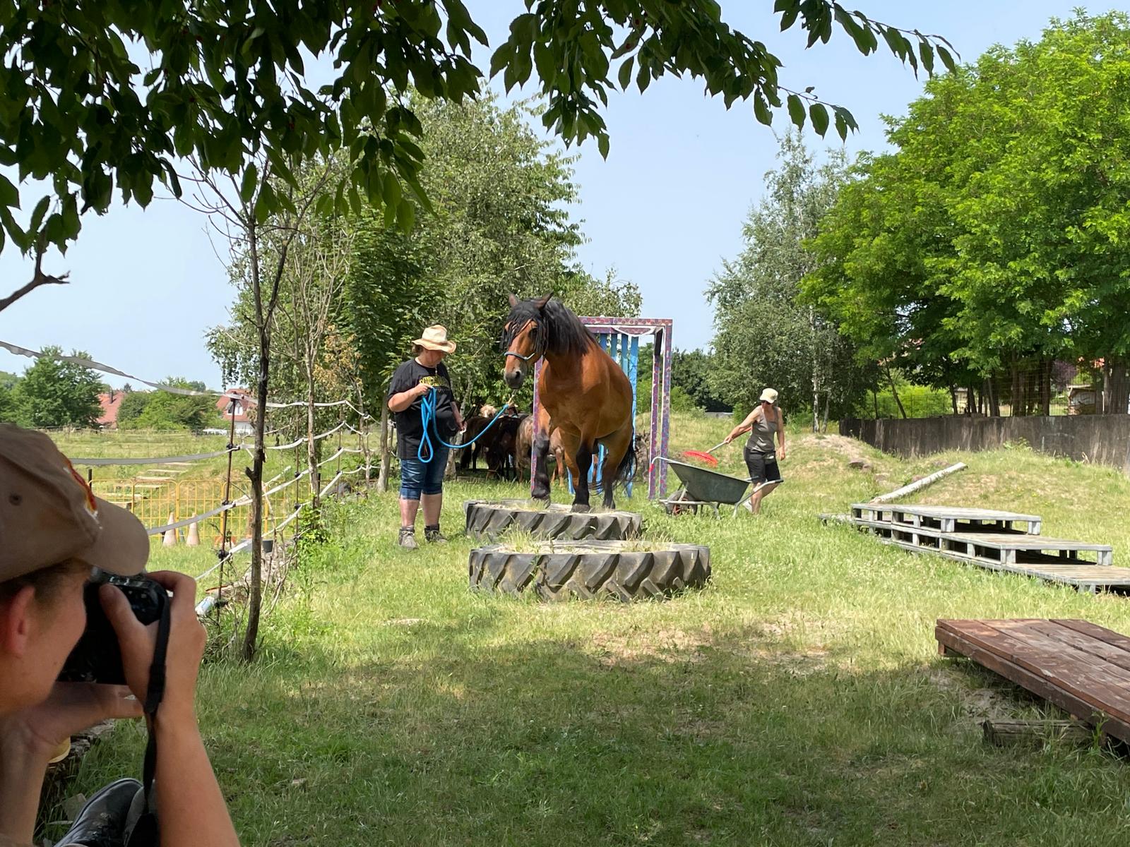 Photo de PAINTED JEWEL RANCH