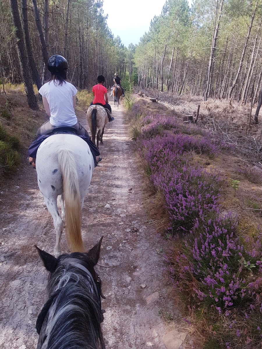Photo de PARIGNE CHEVAL AVENTURES