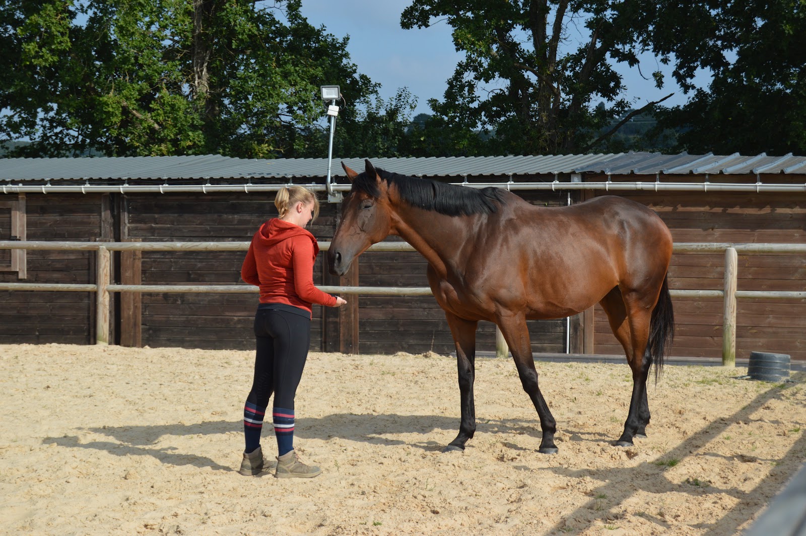 Photo de PERF FORME HORSE ACADEMY