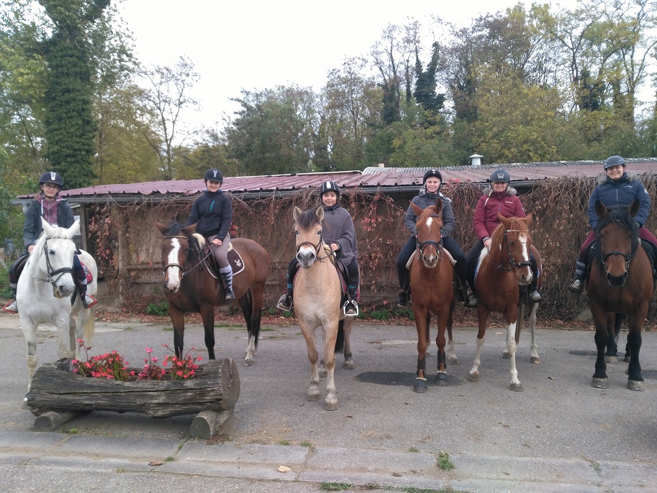 Photo de PLAISIRS EQUESTRES
