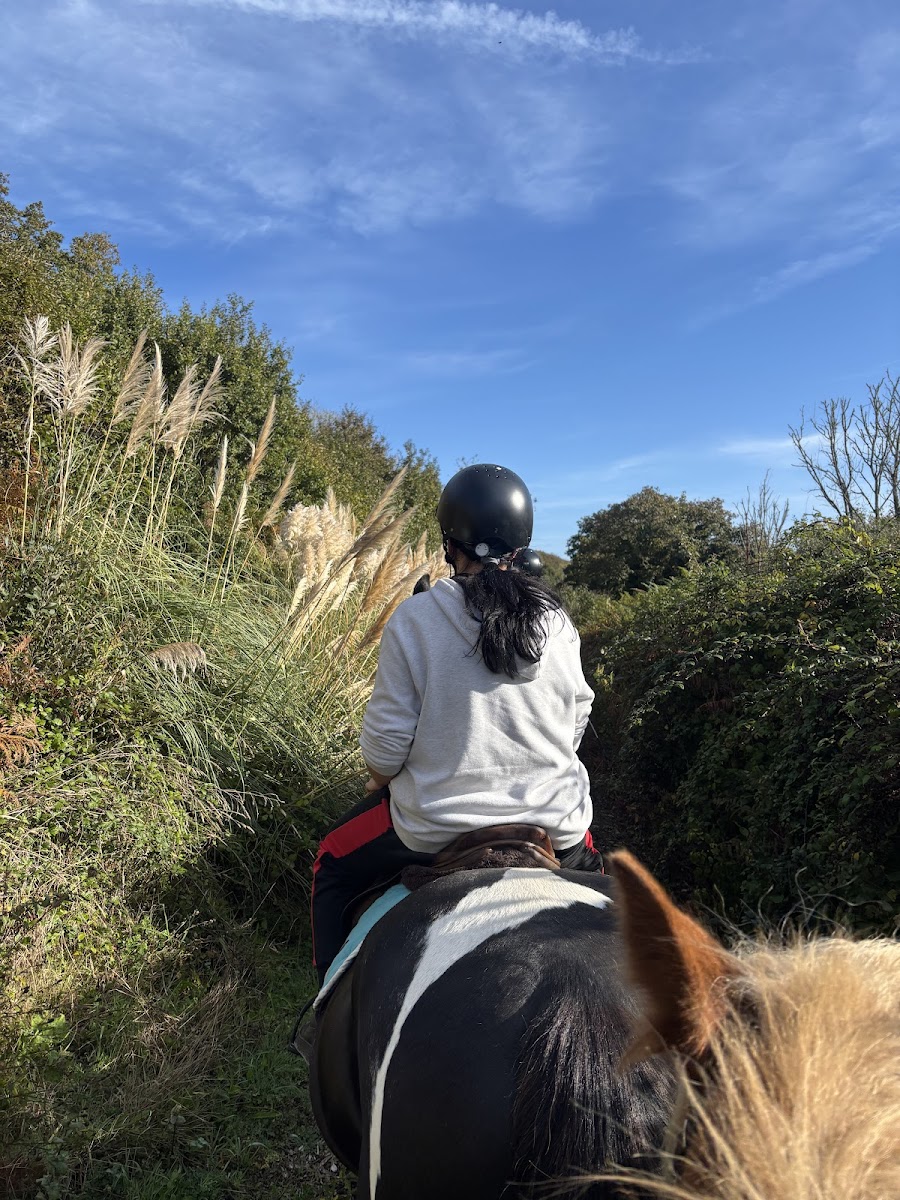 Photo de PLOUGASTEL EQUITATION
