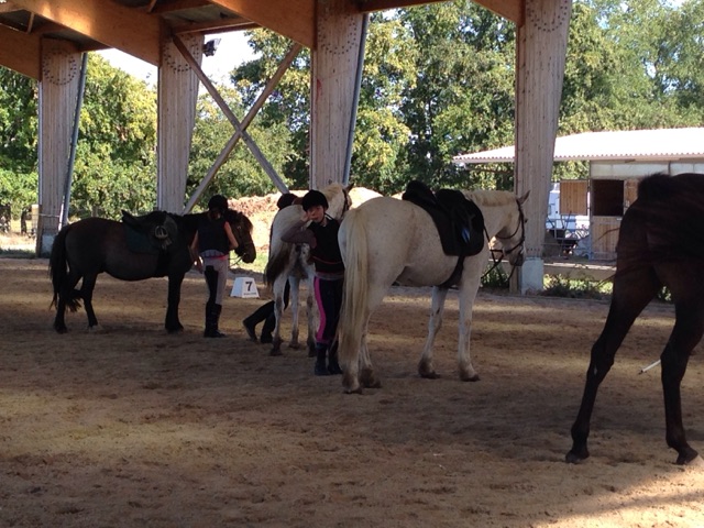 POLE EQUESTRE BORDEAUX SAINT SULPICE