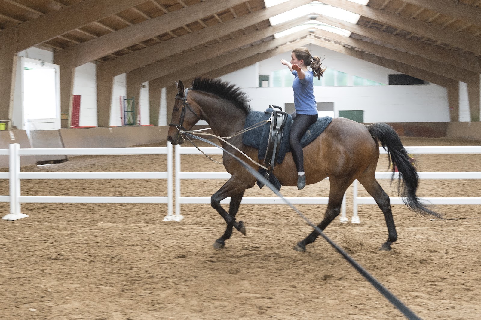 Photo de Pôle Equestre du Compiégnois