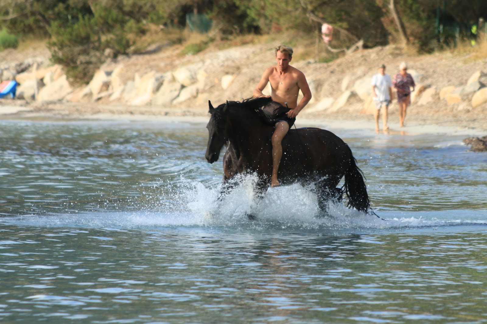 Photo de PONEY CLUB A STAFFA