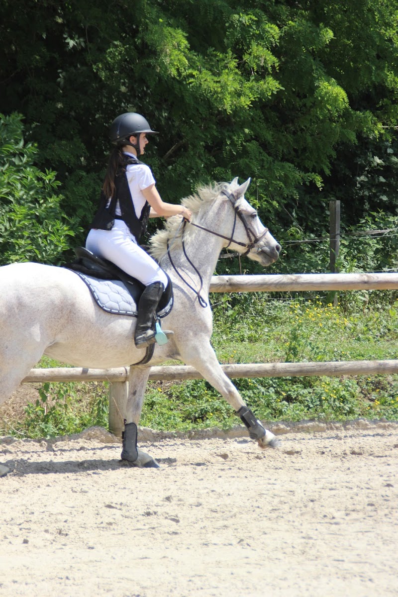 PONEY CLUB ATOUT CRIN
