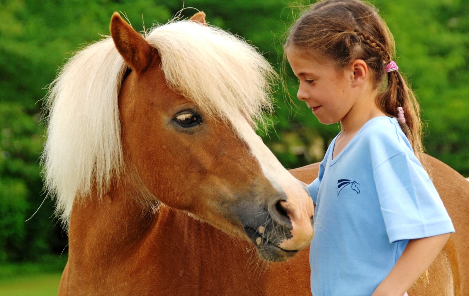 Photo de PONEY CLUB CENTRE EQUESTRE D EZANVILLE