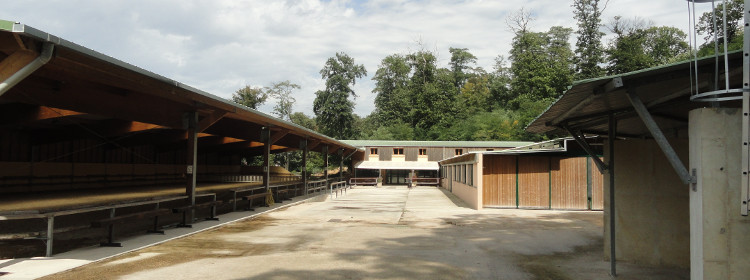Photo de PONEY CLUB CENTRE EQUESTRE DE CHAVILLE