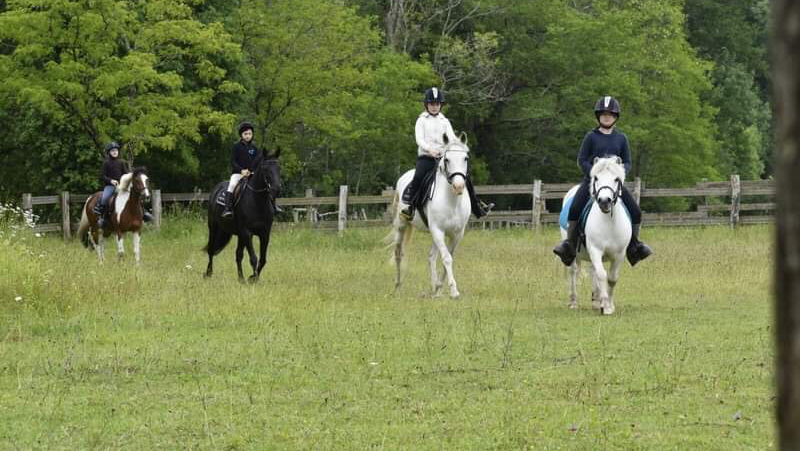 Photo de Poney Club Château Perron