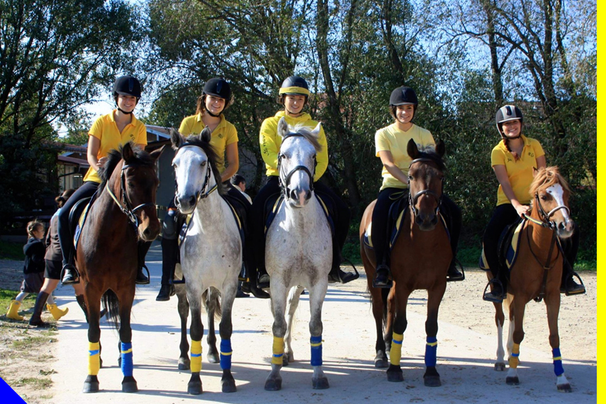 Photo de PONEY CLUB D ALSACE