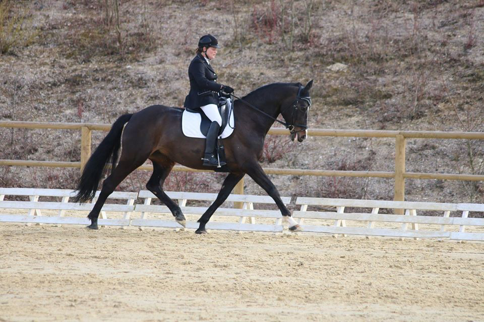 Photo de PONEY CLUB D AMIENS