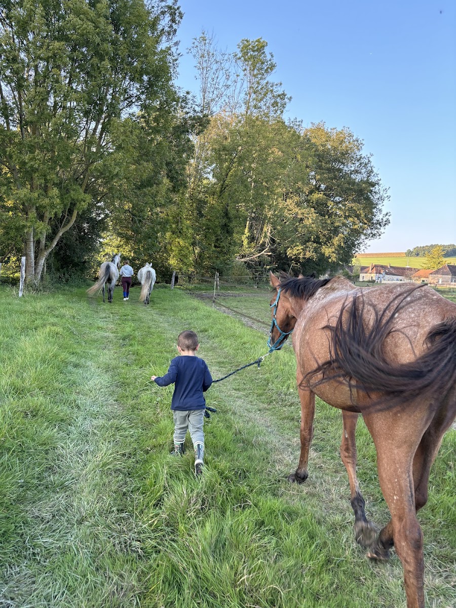 Photo de PONEY CLUB D ESTISSAC