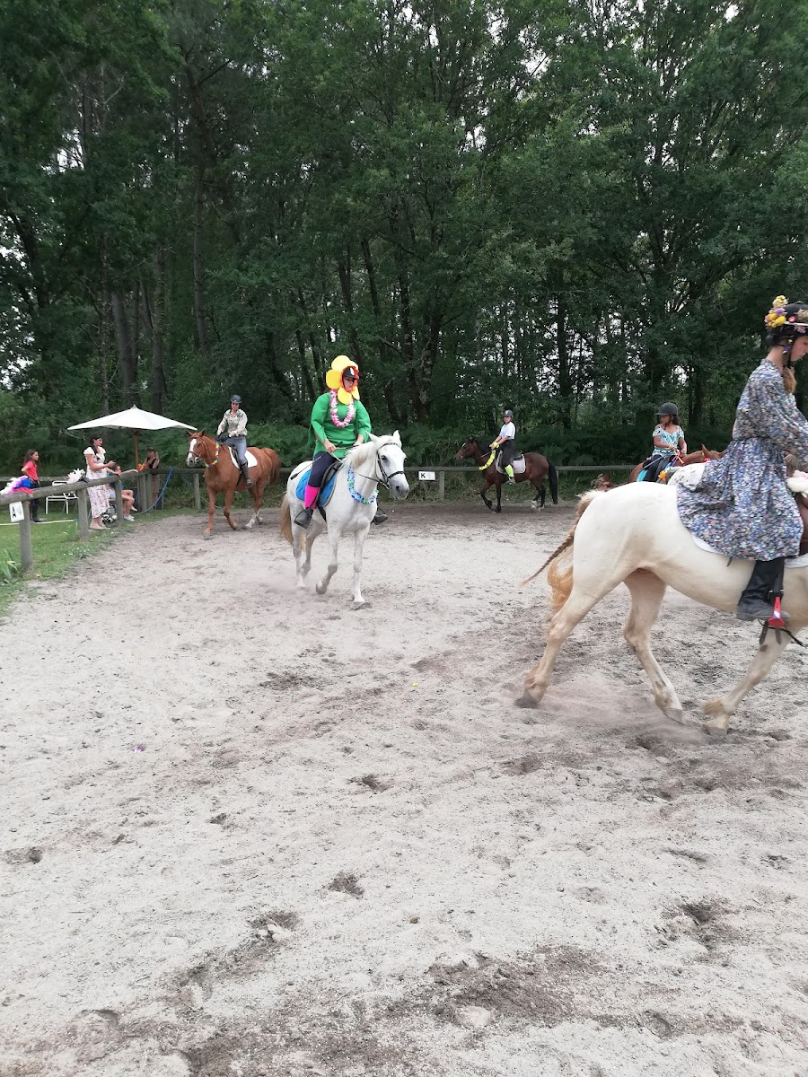 Photo de PONEY CLUB DE BAZAS