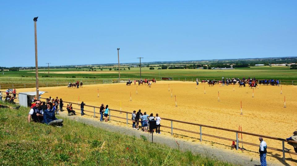 PONEY CLUB DE BEL AIR