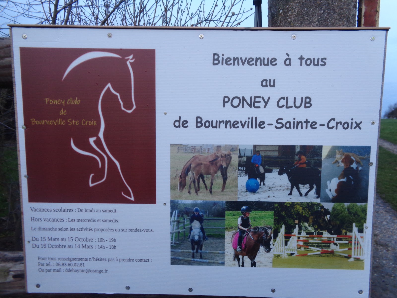 Photo de PONEY CLUB DE BOURNEVILLE STE CROIX