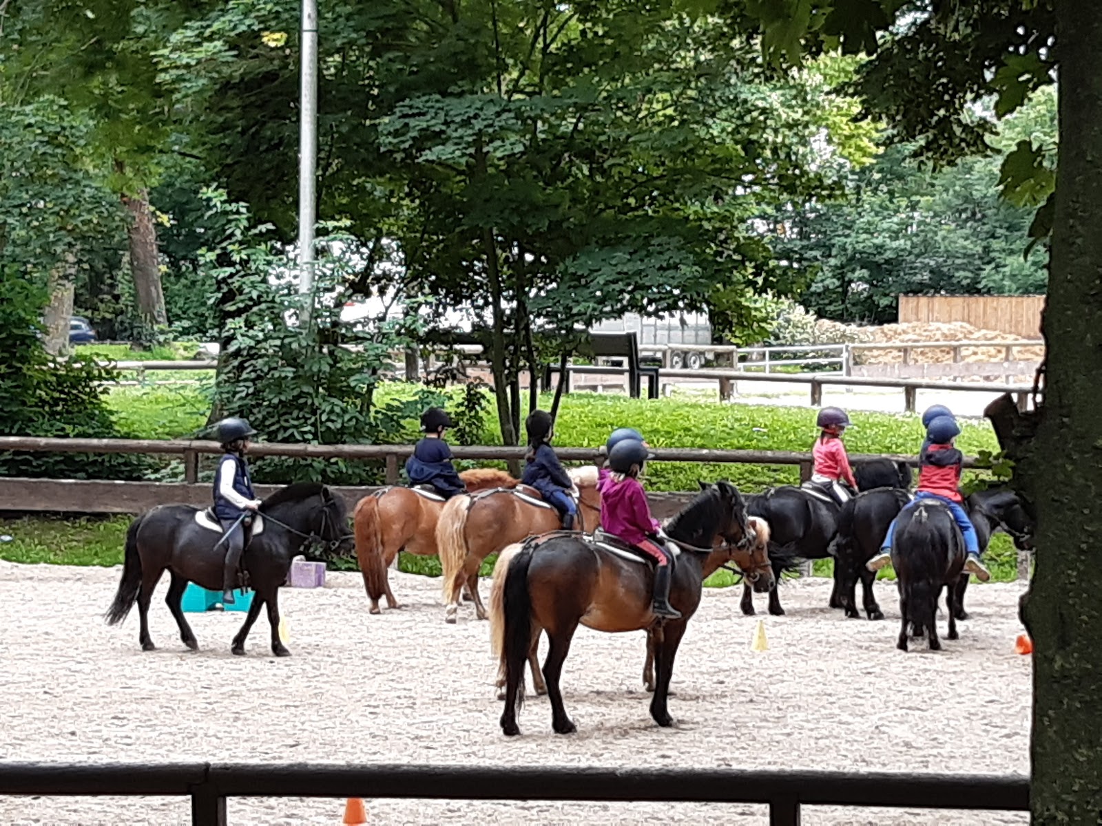 Photo de PONEY CLUB DE BRIMBORION