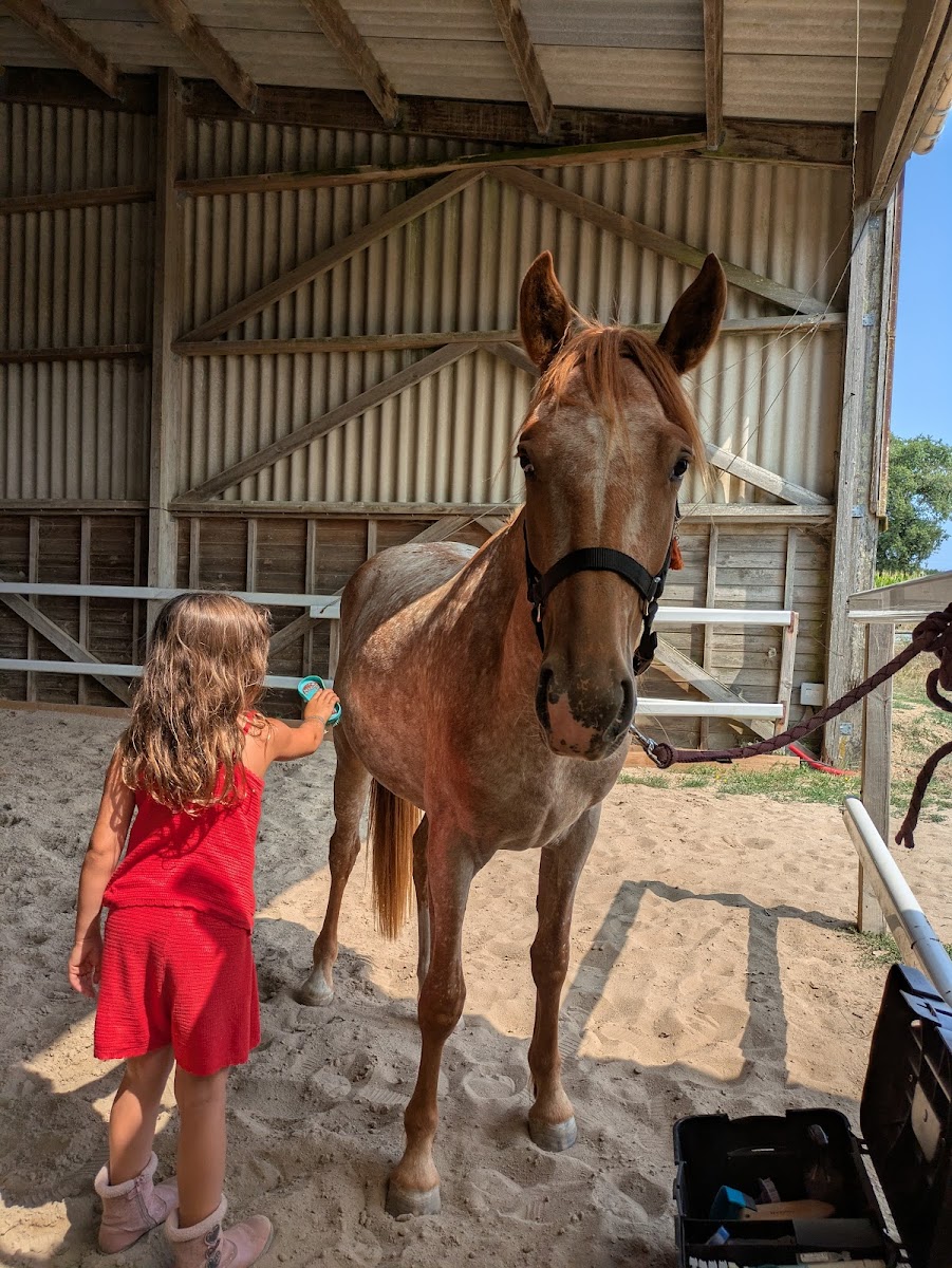 Photo de PONEY CLUB DE CHOLET