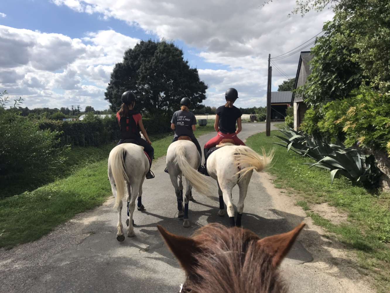 Photo de Poney Club de l'Étiage