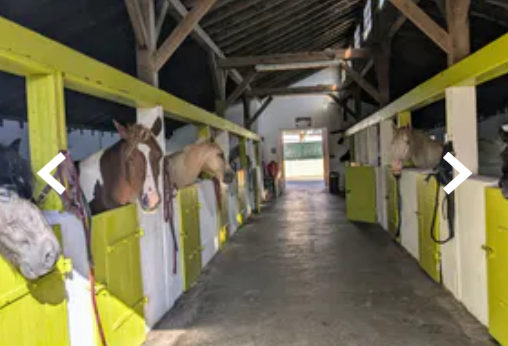 Photo de PONEY CLUB DE LA FERME ST JOSEPH