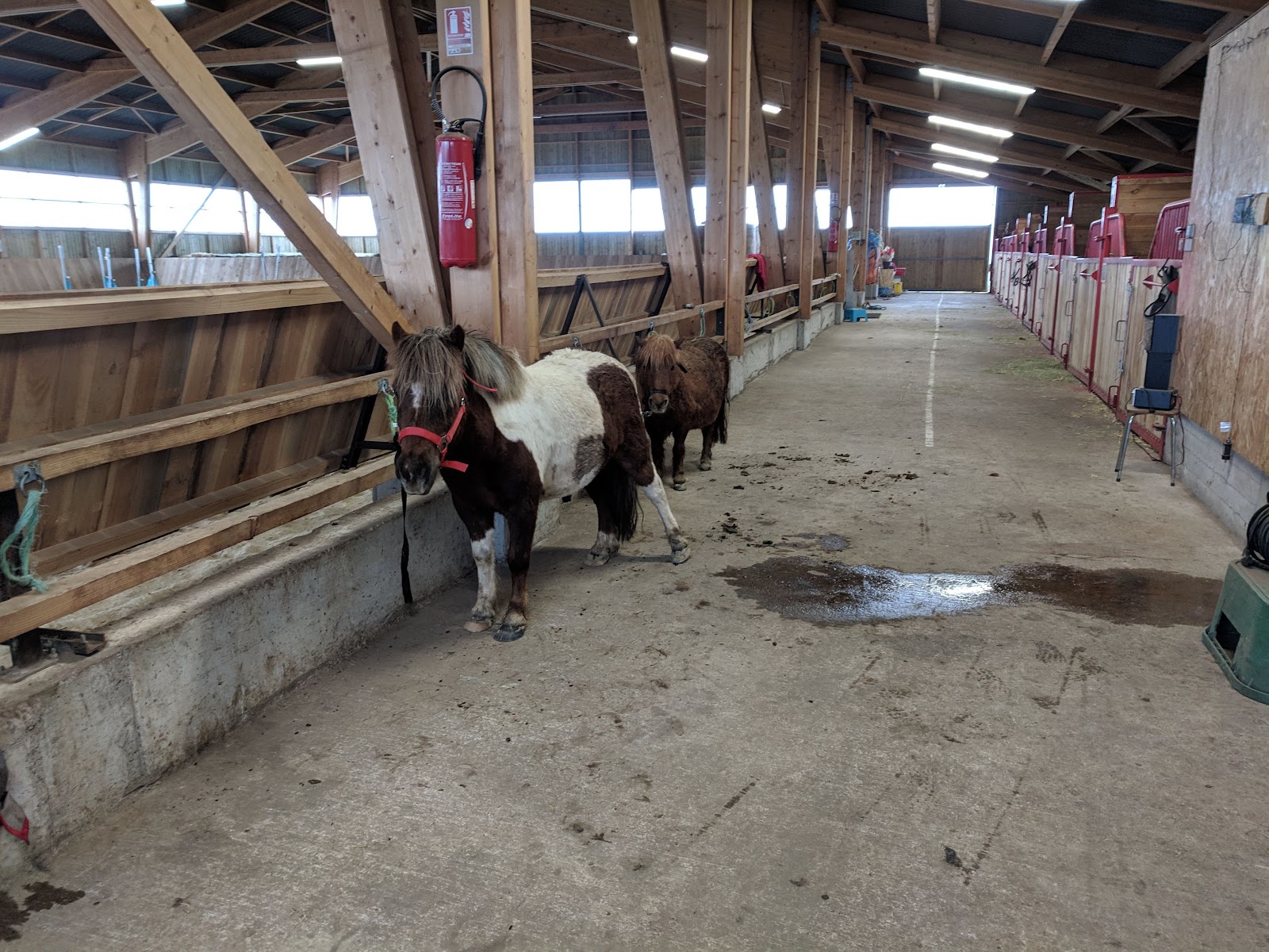 Photo de PONEY CLUB DE LA PLANEZE
