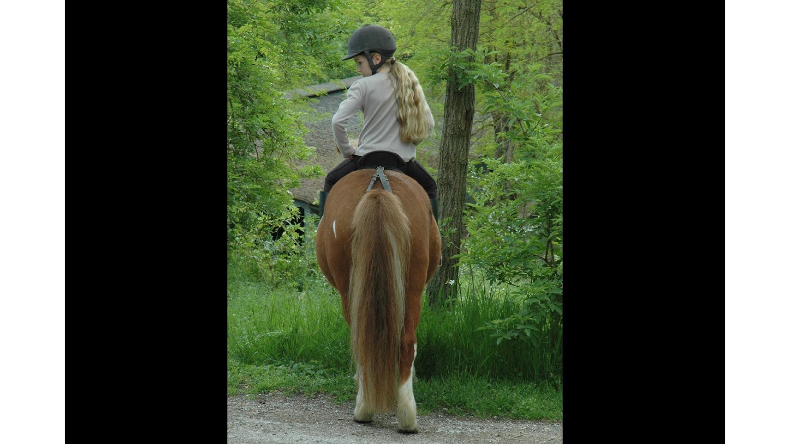 Photo de PONEY CLUB DE LA SALAMANDRE