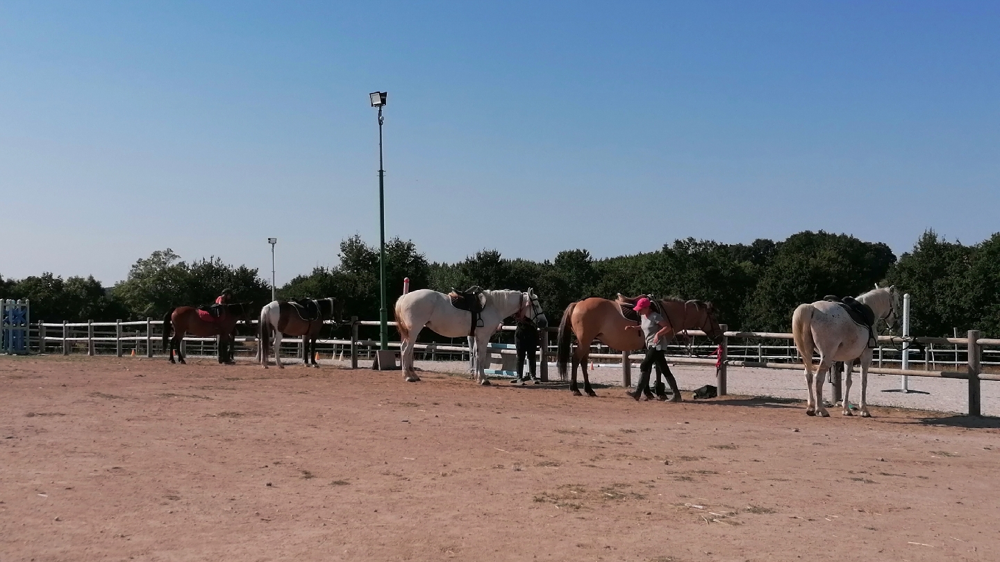 Photo de PONEY CLUB DE LA VIE