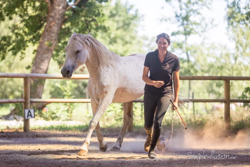 PONEY CLUB DE LA VOILE