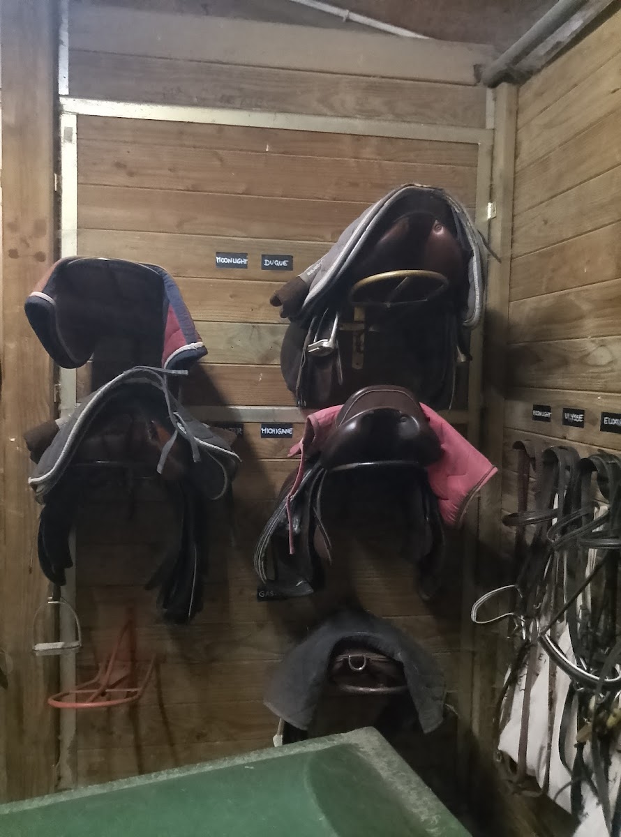 Photo de PONEY CLUB DE MAREUIL