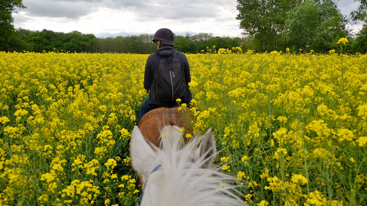 Photo de PONEY CLUB DE ST CHRISTOPHE