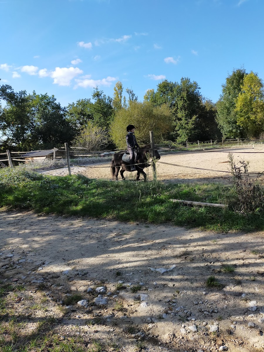 PONEY CLUB DE STE FOY LA GRANDE