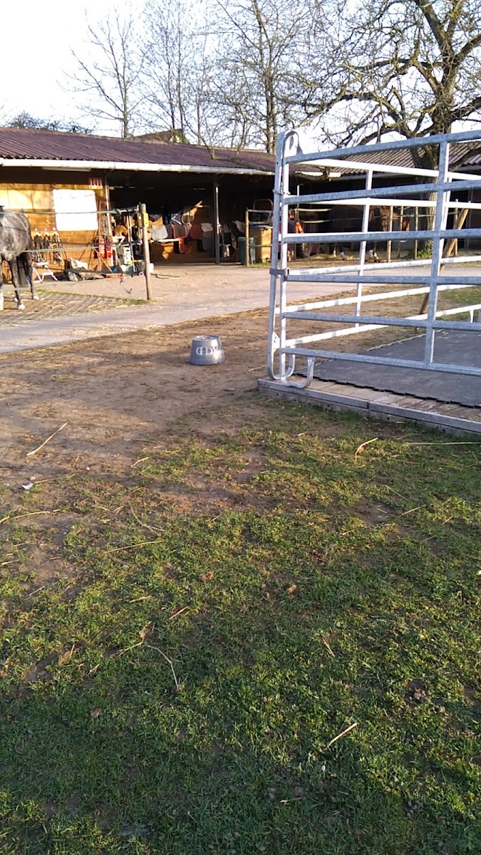 Photo de Poney Club Des Écureuils