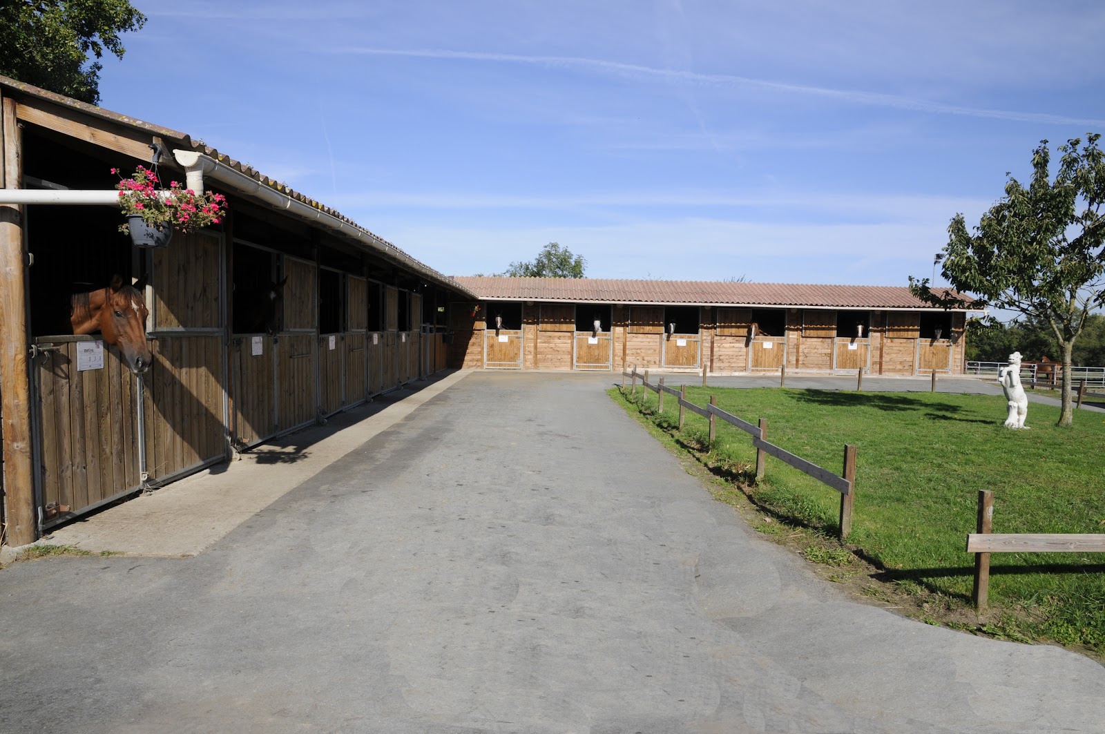 Photo de PONEY CLUB DES HERBIERS