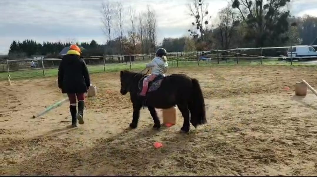 Photo de PONEY CLUB DES MORINIERES