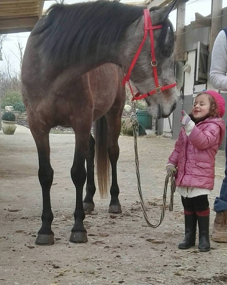 Photo de PONEY CLUB DES OLIVIERS