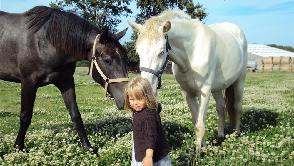 Photo de PONEY CLUB DES RHODOS