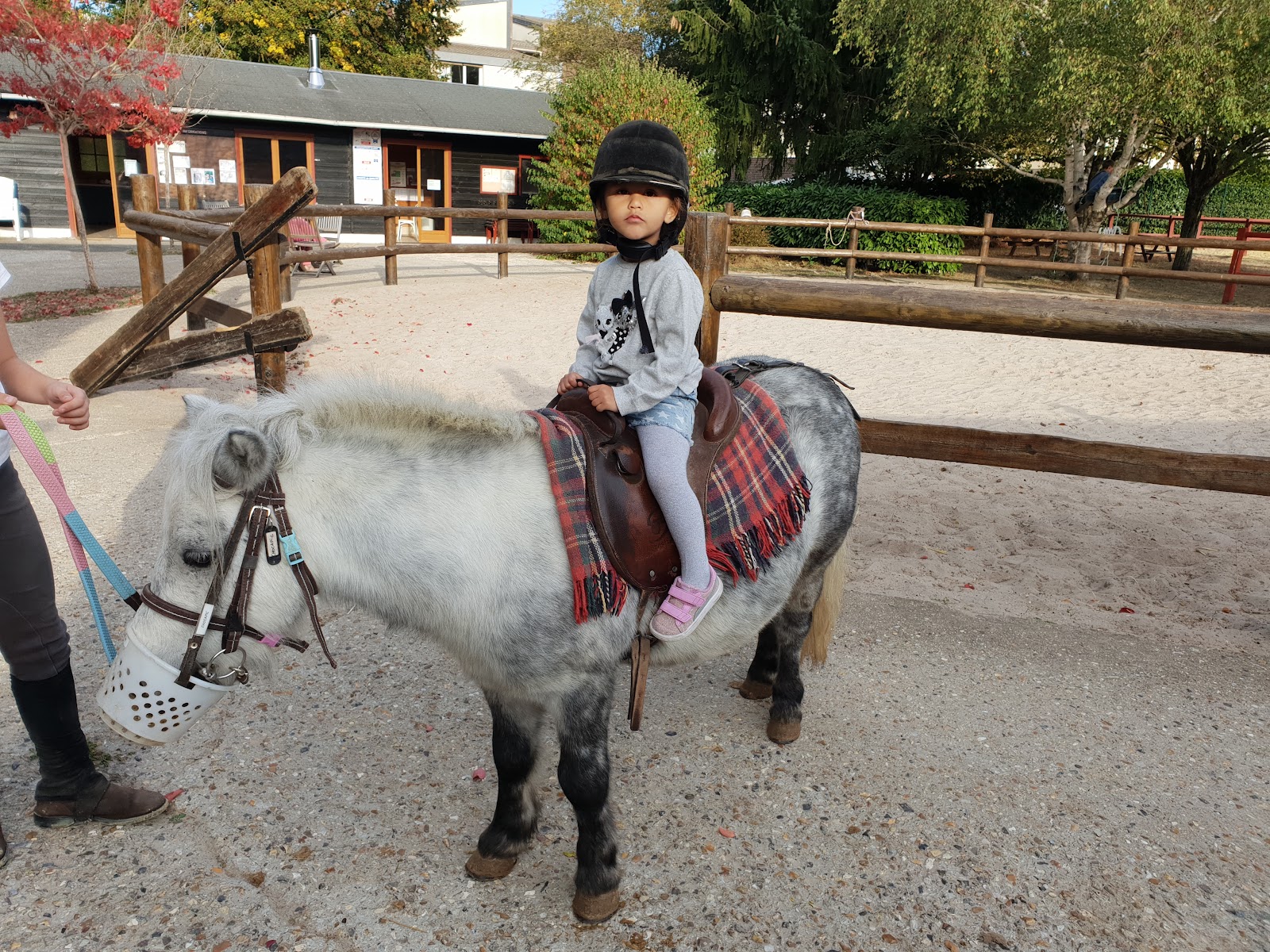 Photo de PONEY CLUB DES ULIS