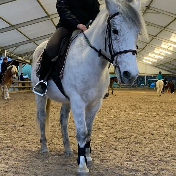 Photo de Poney-Club du Bois de Verrières