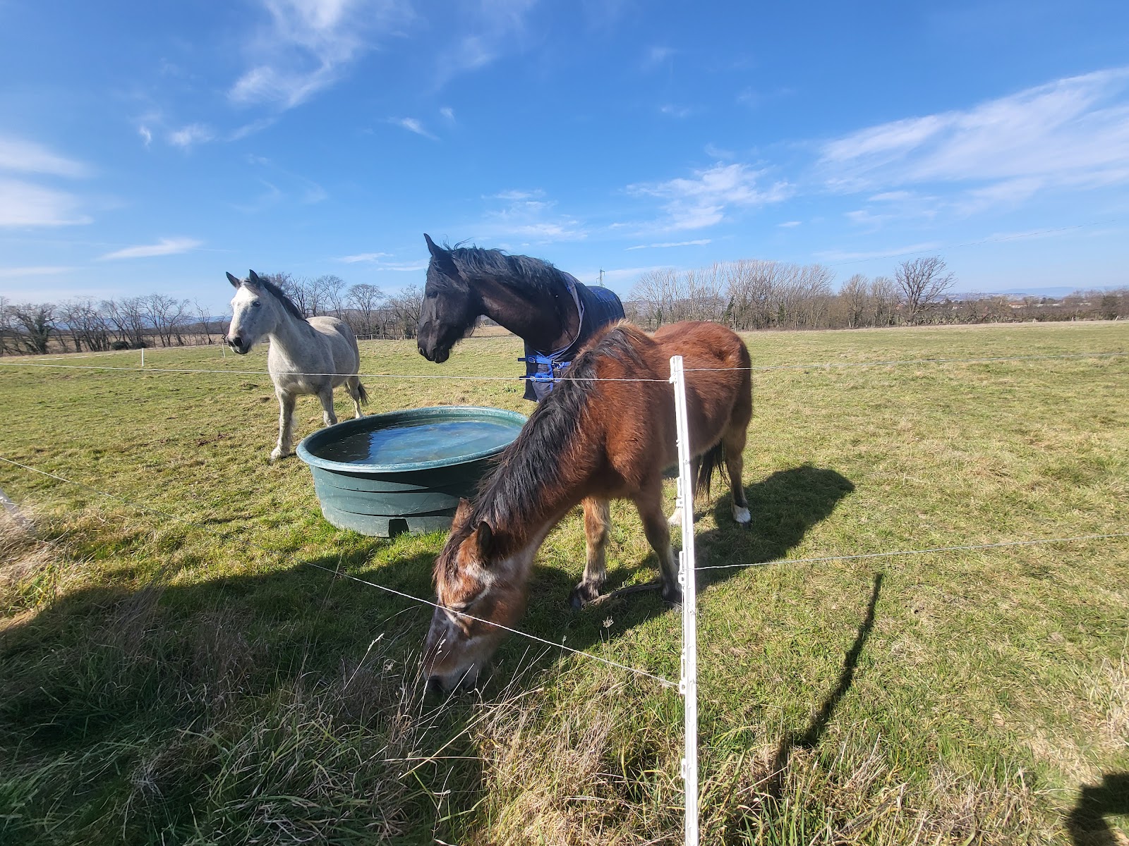 PONEY CLUB DU GRAND CELARD