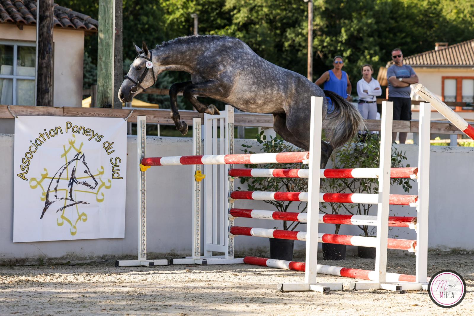Photo de PONEY CLUB DU MOULIN DE PARADE