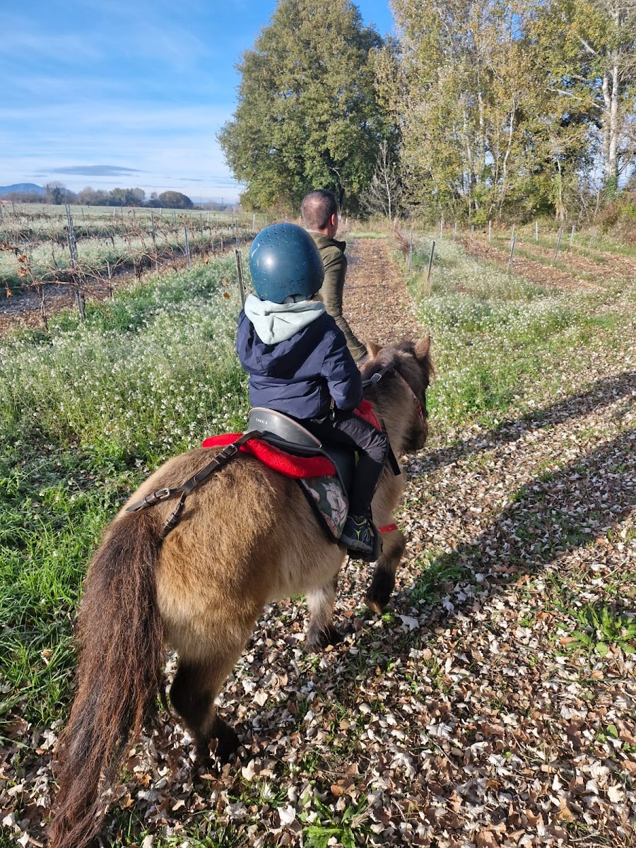 Photo de PONEY CLUB DU NATOR