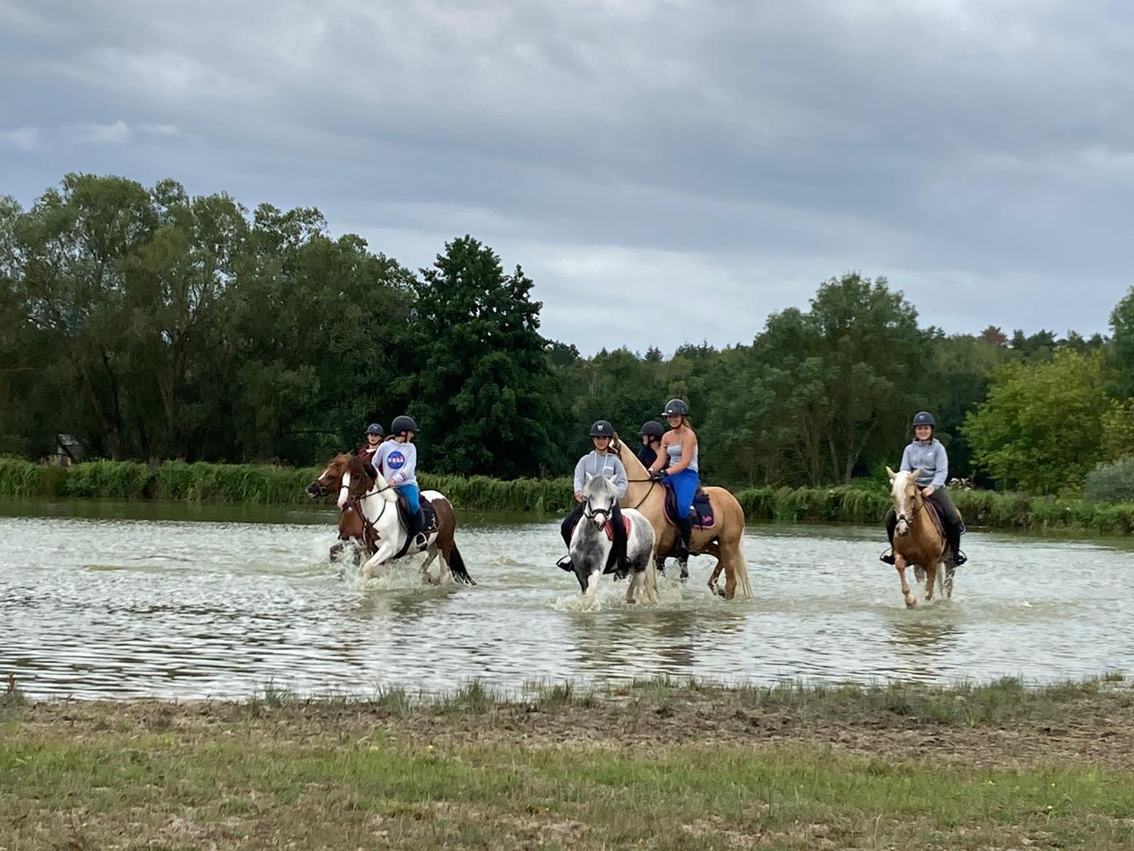 Photo de PONEY CLUB DU VIEIL ORME