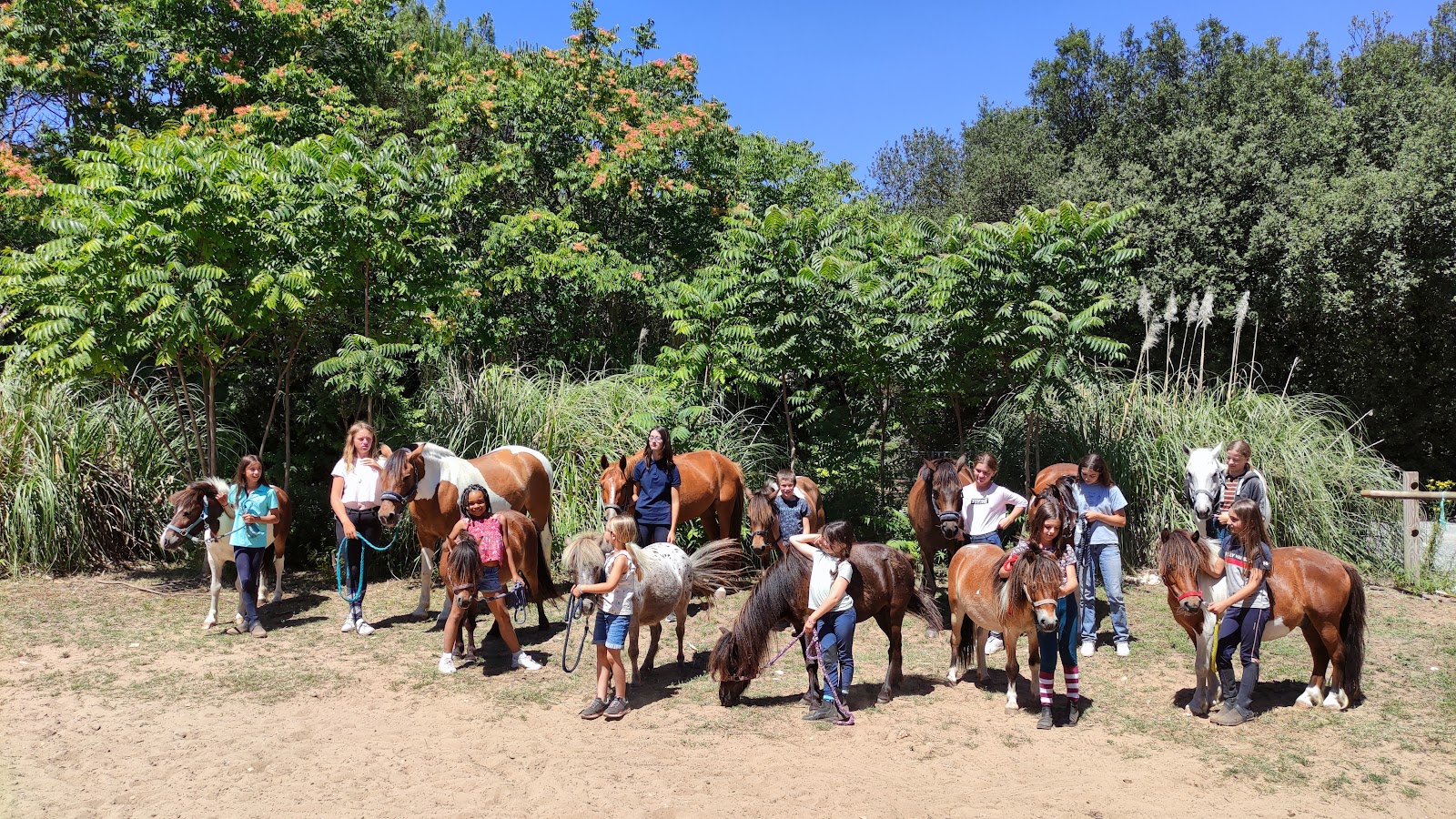 Photo de PONEY CLUB EQUI PASSION