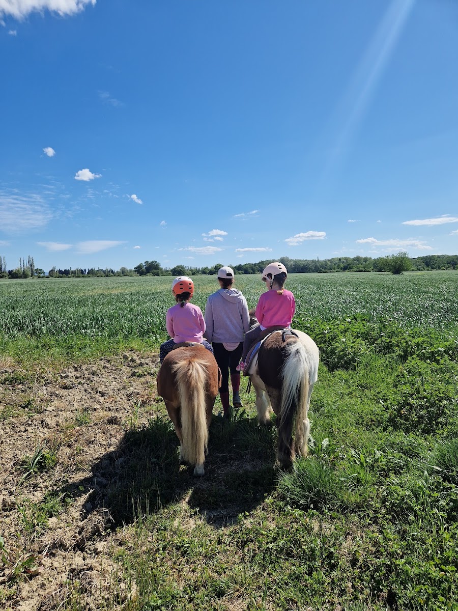 Photo de PONEY CLUB LA REBOUSSE