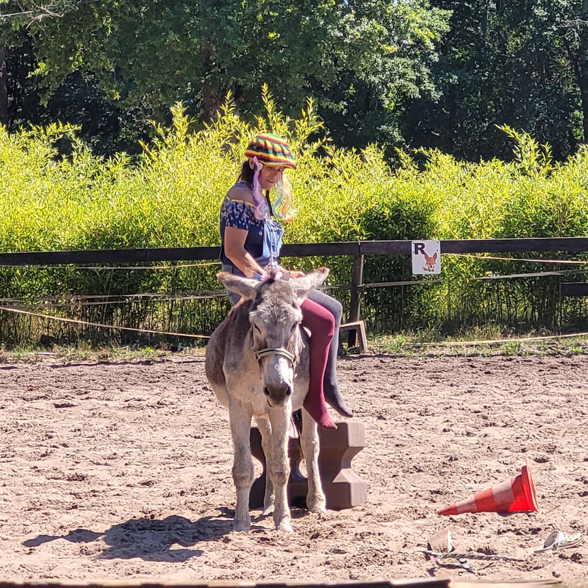 Photo de PONEY CLUB LACANAU