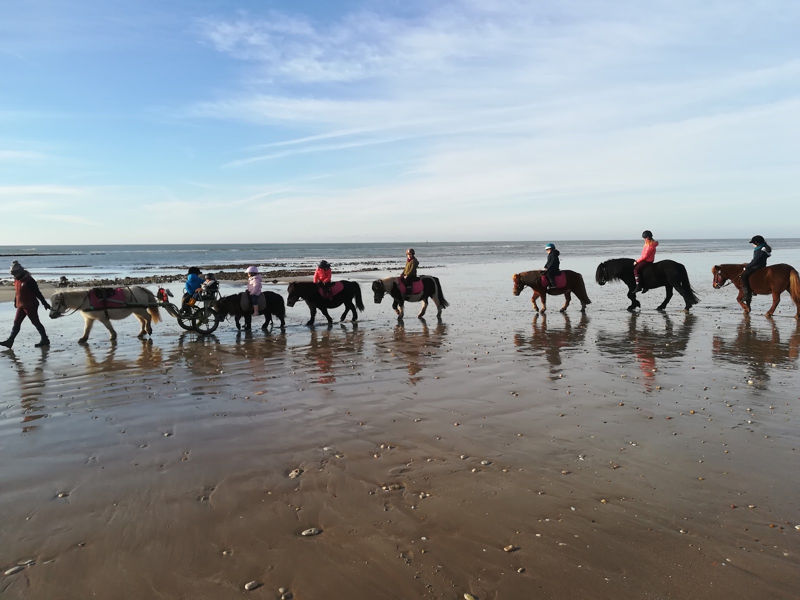 Photo de PONEY CLUB LES PETITES FOLIES